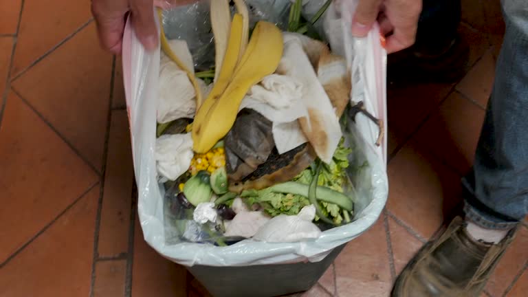 Professional Junk Removal Services in South Charleston, WV
